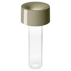 Foscarini Fleur Table Lamp by Rodolfo Dordoni