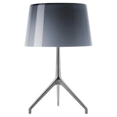 Foscarini Lumiere Extra Large Table Lamp in Grey & Aluminium by Rodolfo Dordoni
