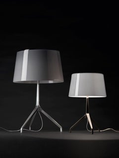 Foscarini Lumiere Extra Small Table Lamp in Grey & Aluminum by Rodolfo Dordoni