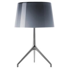 Foscarini Lumiere Extra Small Table Lamp in Grey & Aluminum by Rodolfo Dordoni