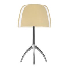 Foscarini Lumiere Small Table Lamp in Warm White and Black Chrome
