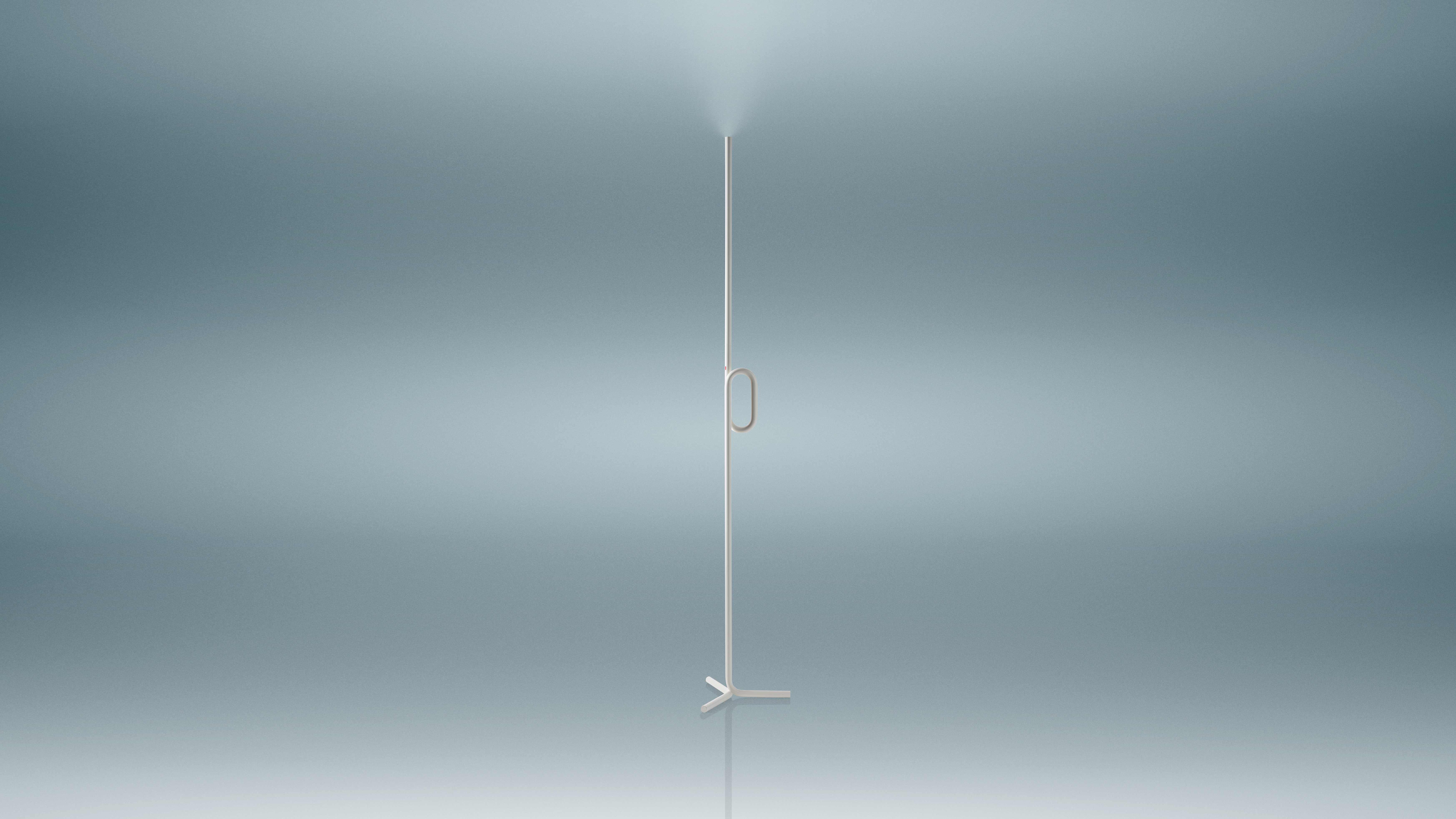 Foscarini Tobia Floor Lamp by Ferruccio Laviani For Sale 2