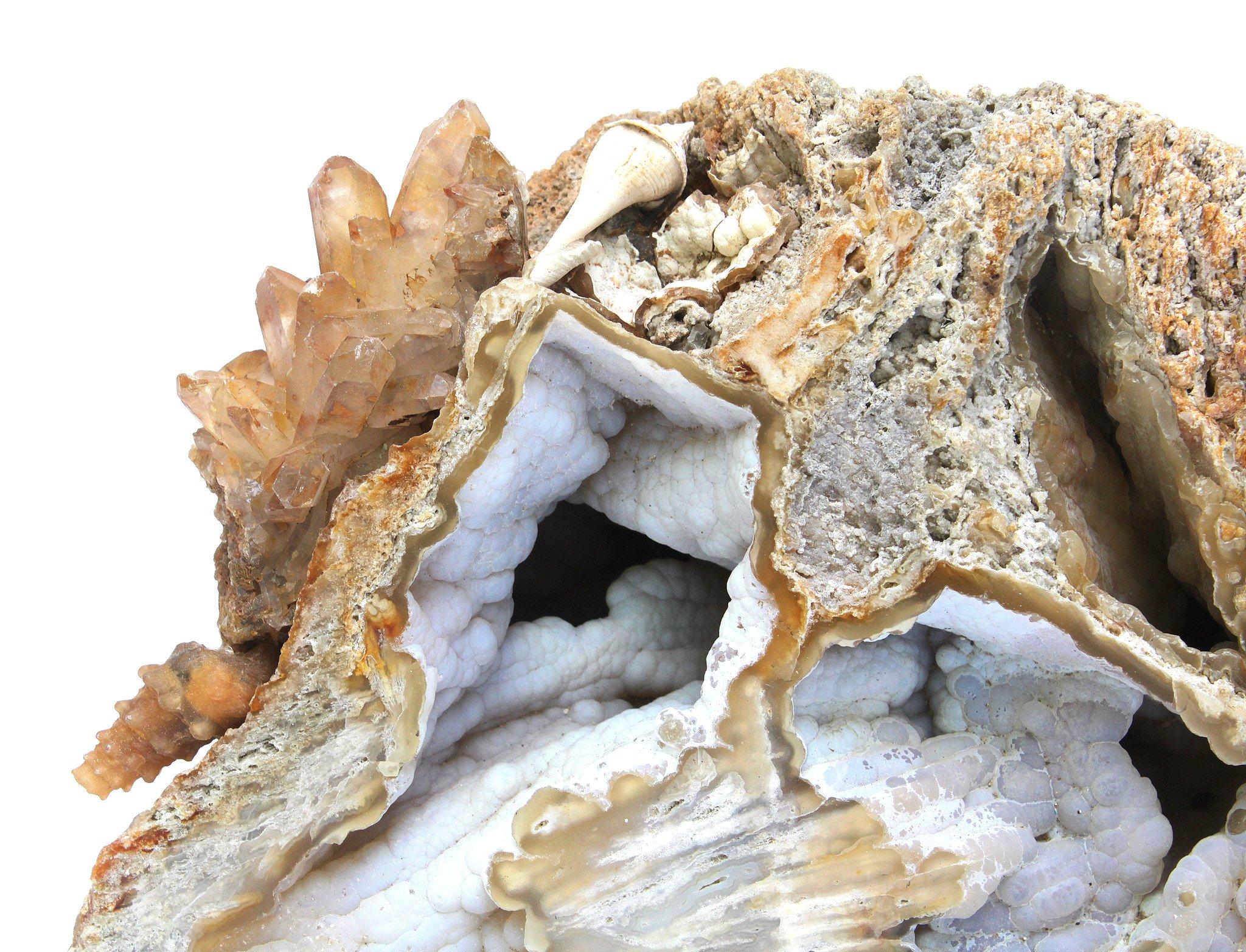 quartz fossil
