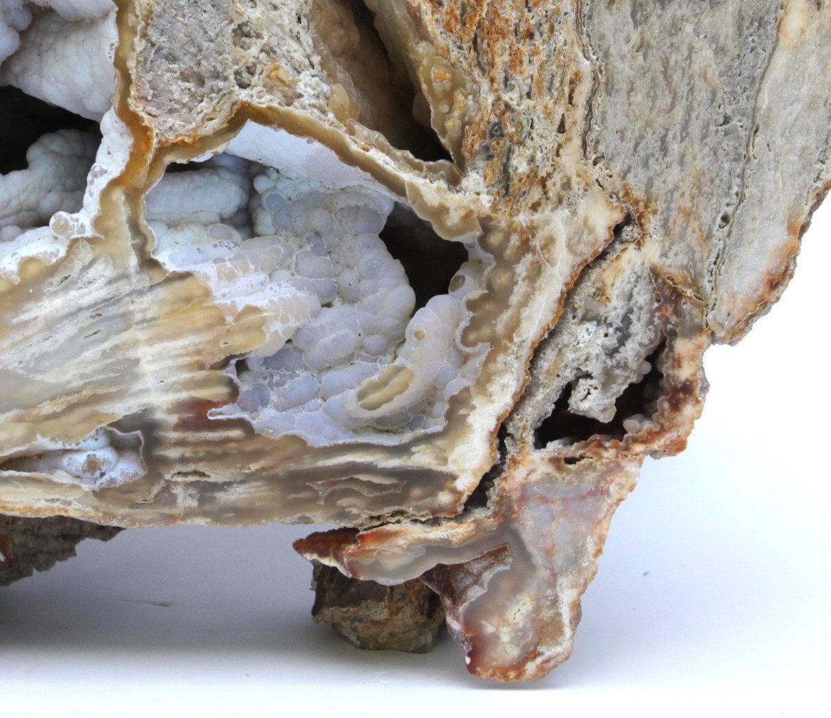 fossil in quartz