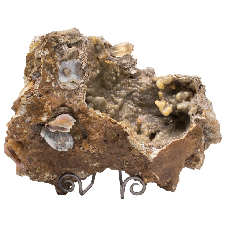 Fossil Agate Coral with Citrine Points and Fossil Shells at 1stDibs | coral  agates, agate with fossils, agate coral fossil