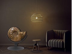 Ammonite fossile (Pachydiscus sp.) su supporto in acciaio personalizzato, Cretaceo superiore