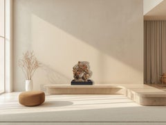 Fossil Ammonites Association on Custom Walnut Base, Cretaceous