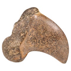 Fossil Bone Fragment, Pleistocene Epoch, Curved Shape, , 12.5 cm