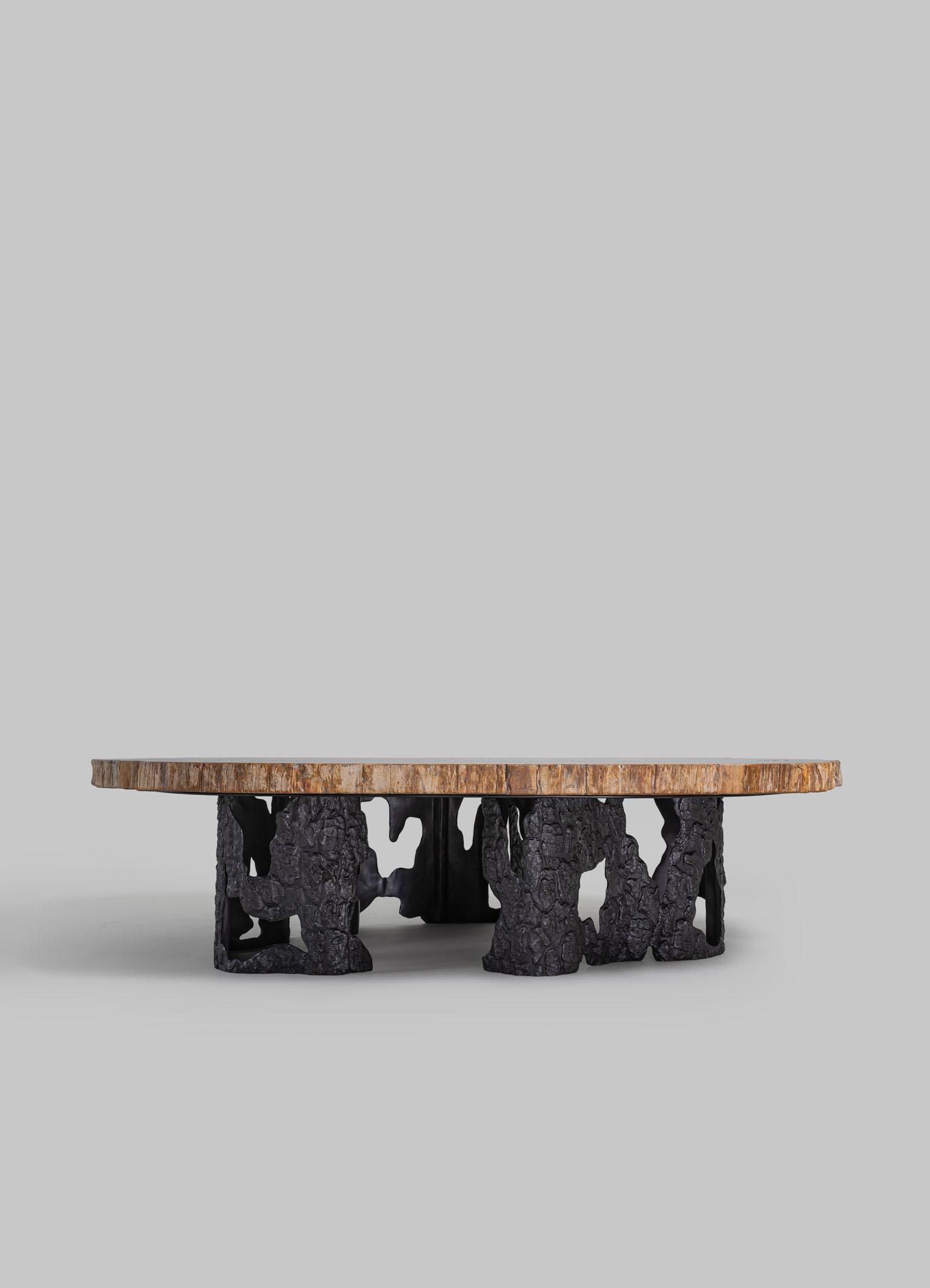 Table basse Fossil avec plateau incrusté de bois pétrifié et laiton Viya de Vikram Goyal

Les processus lents et naturels de la terre sont souvent à l'origine des conceptions les plus remarquables. Le bois pétrifié se forme sur des milliers