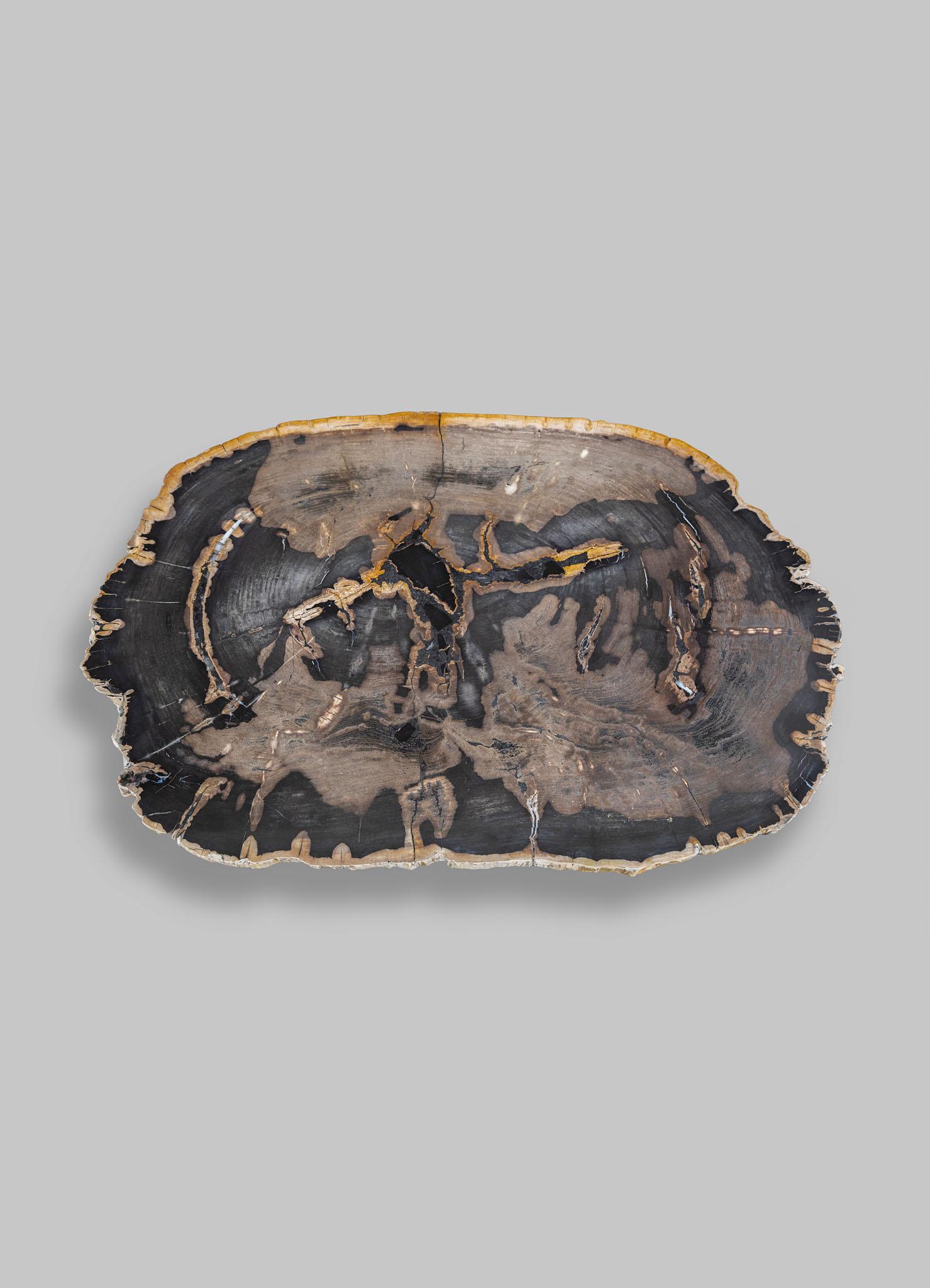 Moulage Table basse Fossil avec plateau incrusté de bois pétrifié et laiton Viya de Vikram Goyal en vente
