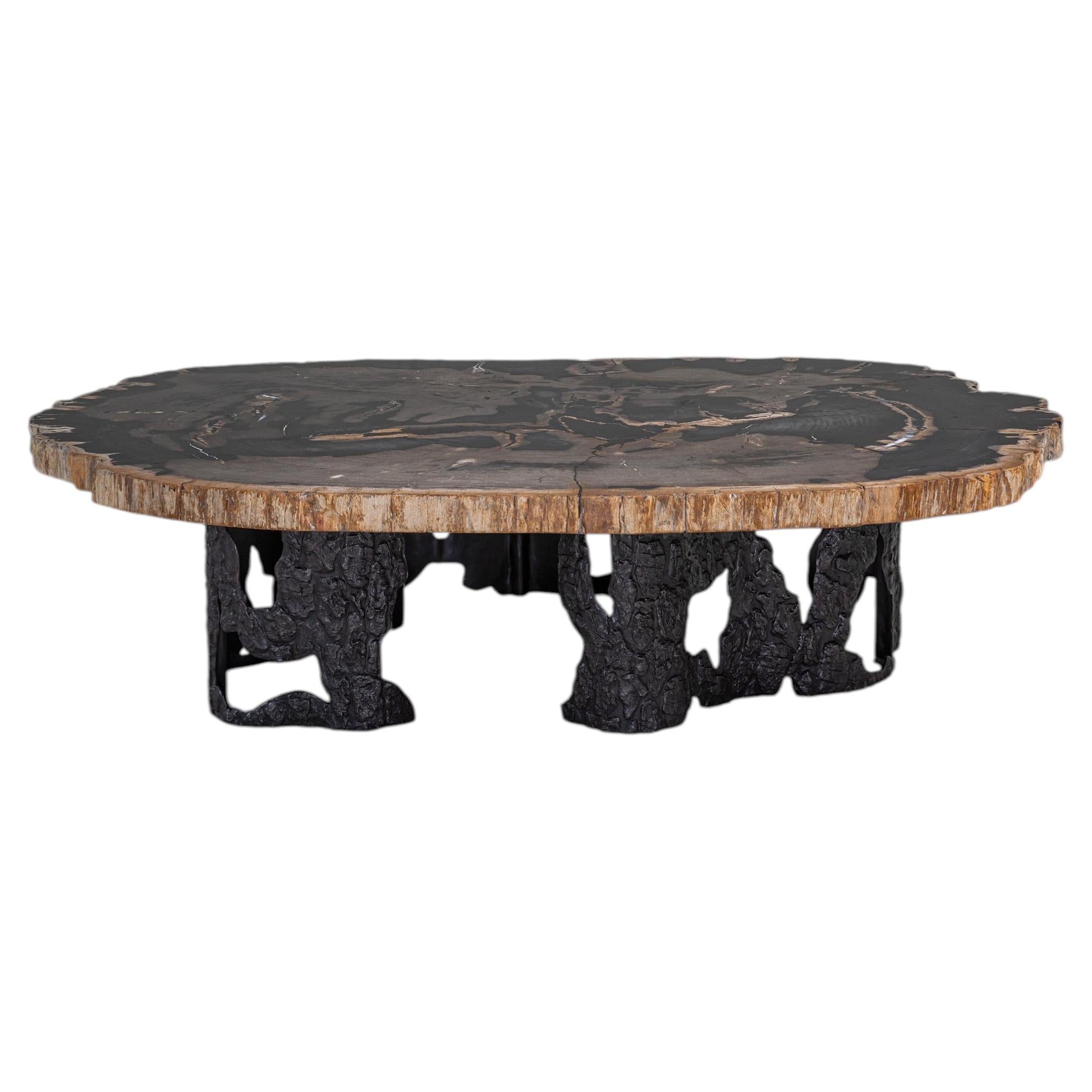 Fossil Coffee Table In Petrified Wood Overlay Top & Brass, Viya By Vikram Goyal