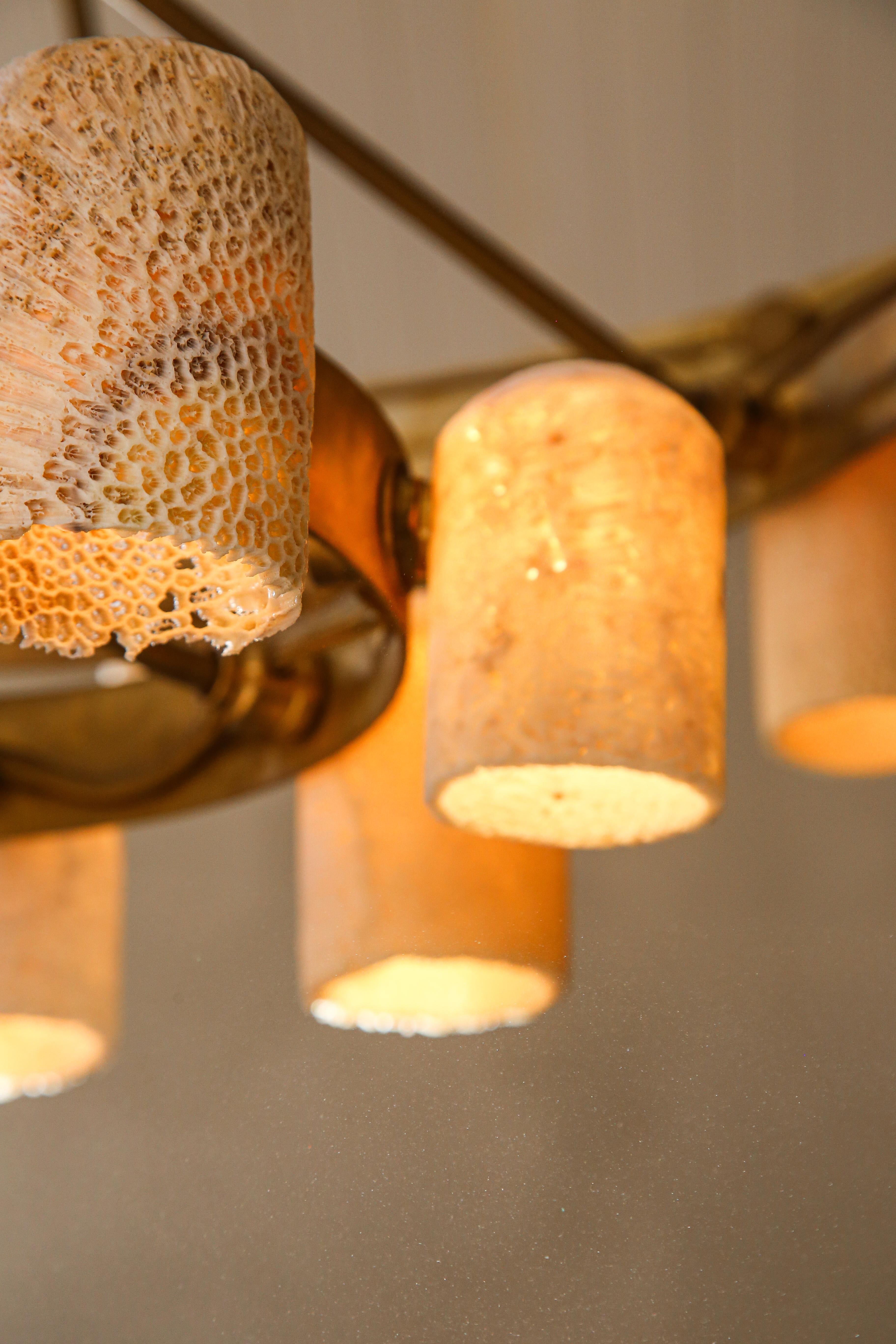 Fossil Coral Chandelier, Hand Crafted and Ethically Sourced For Sale 5