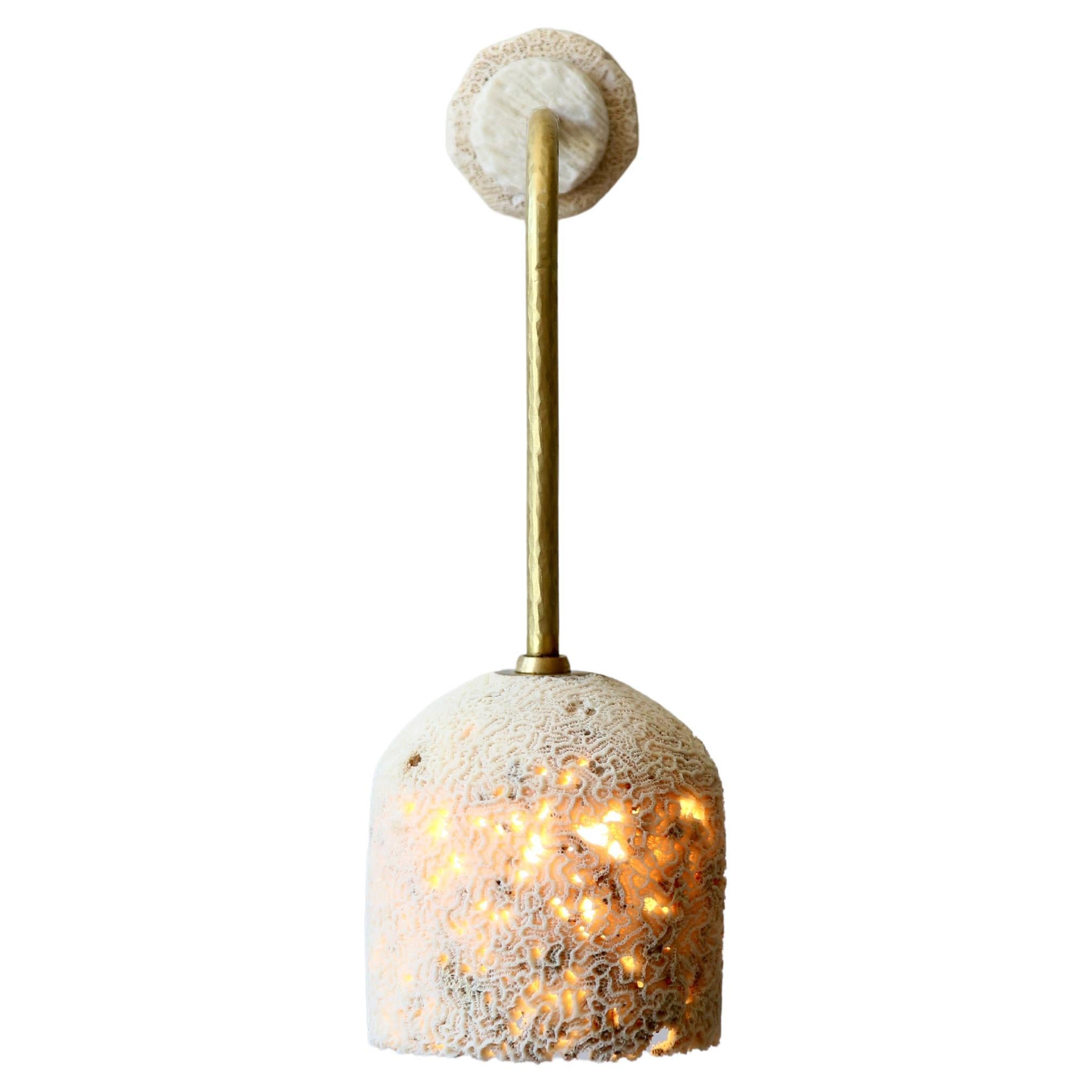Fossil Coral Dome Arc Wall Light (Medium) Rustic Chic, Earthy, Minimal, Neutral For Sale