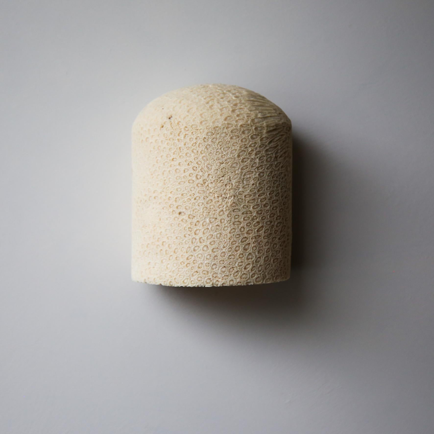 Lámpara de Pared Fósil Coral Dome Flush L by Marovo Island Traders
Dimensiones: Ø 14 x A 16 cm. 
Materiales: Latón, Coral fósil. 

Todas nuestras lámparas pueden cablearse según cada país. Si se vende a EEUU, se cableará para EEUU, por