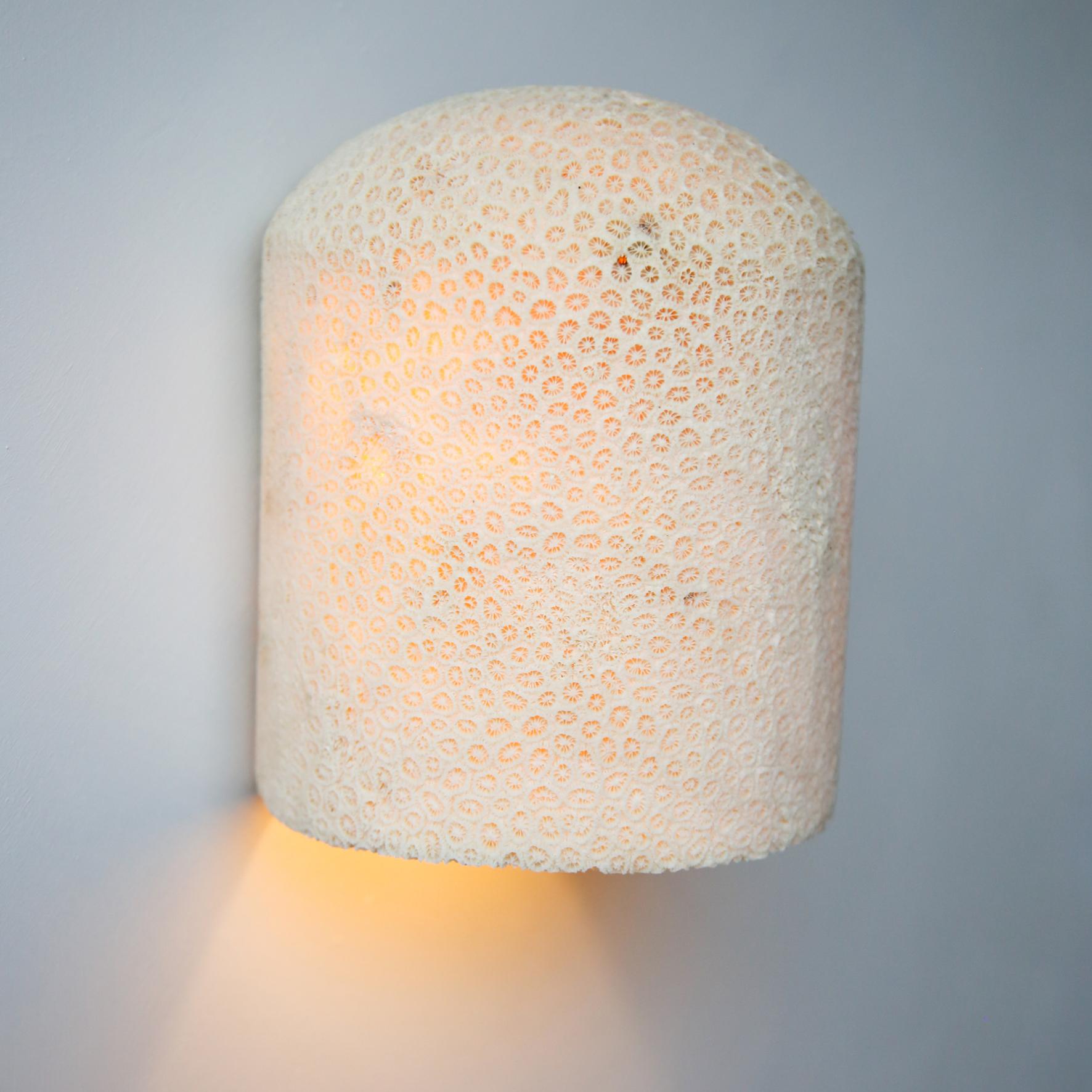 Lámpara de Pared Fósil Coral Dome Flush L by Marovo Island Traders Posmoderno en venta