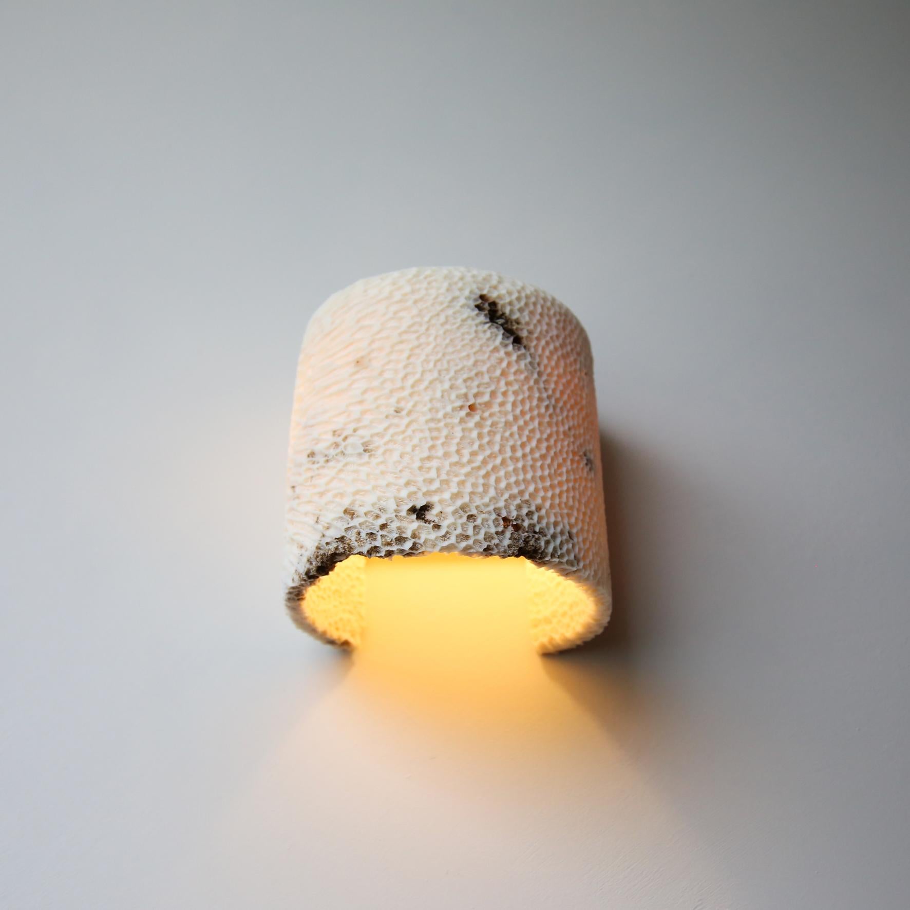 Lámpara de Pared Fósil Coral Dome Flush L by Marovo Island Traders Australiano en venta
