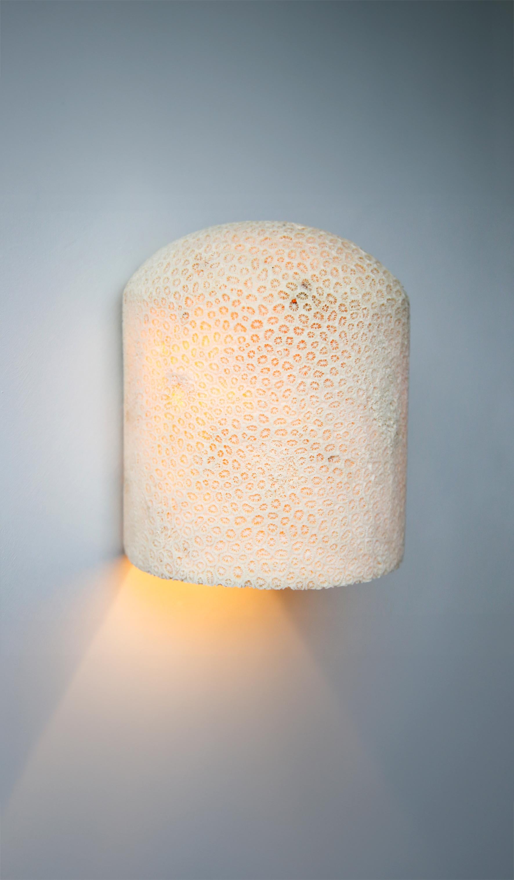 Lámpara de Pared Fósil Coral Dome Flush L by Marovo Island Traders Australiano en venta