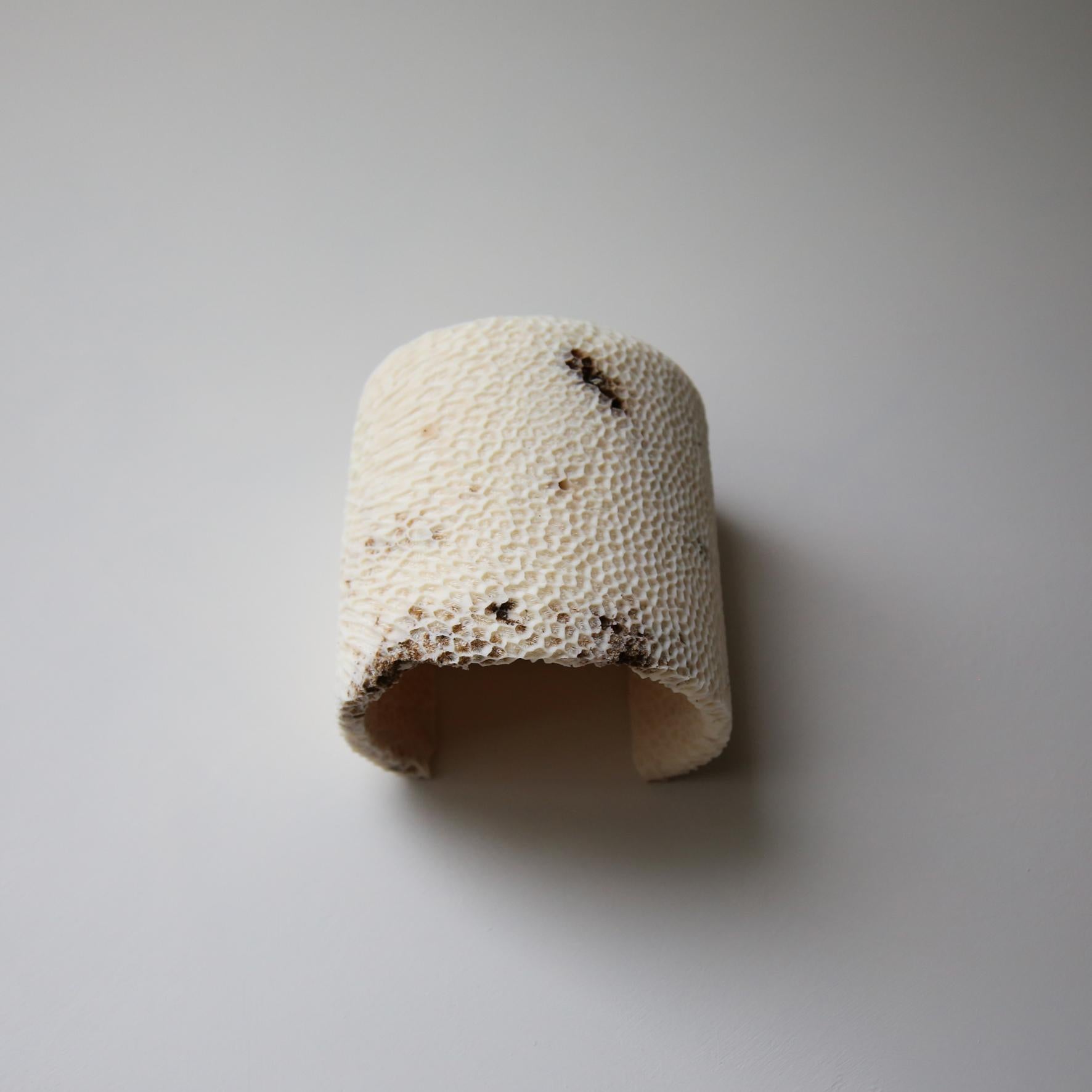 Lámpara de Pared Fósil Coral Dome Flush L by Marovo Island Traders en Nuevo estado para la venta en Geneve, CH