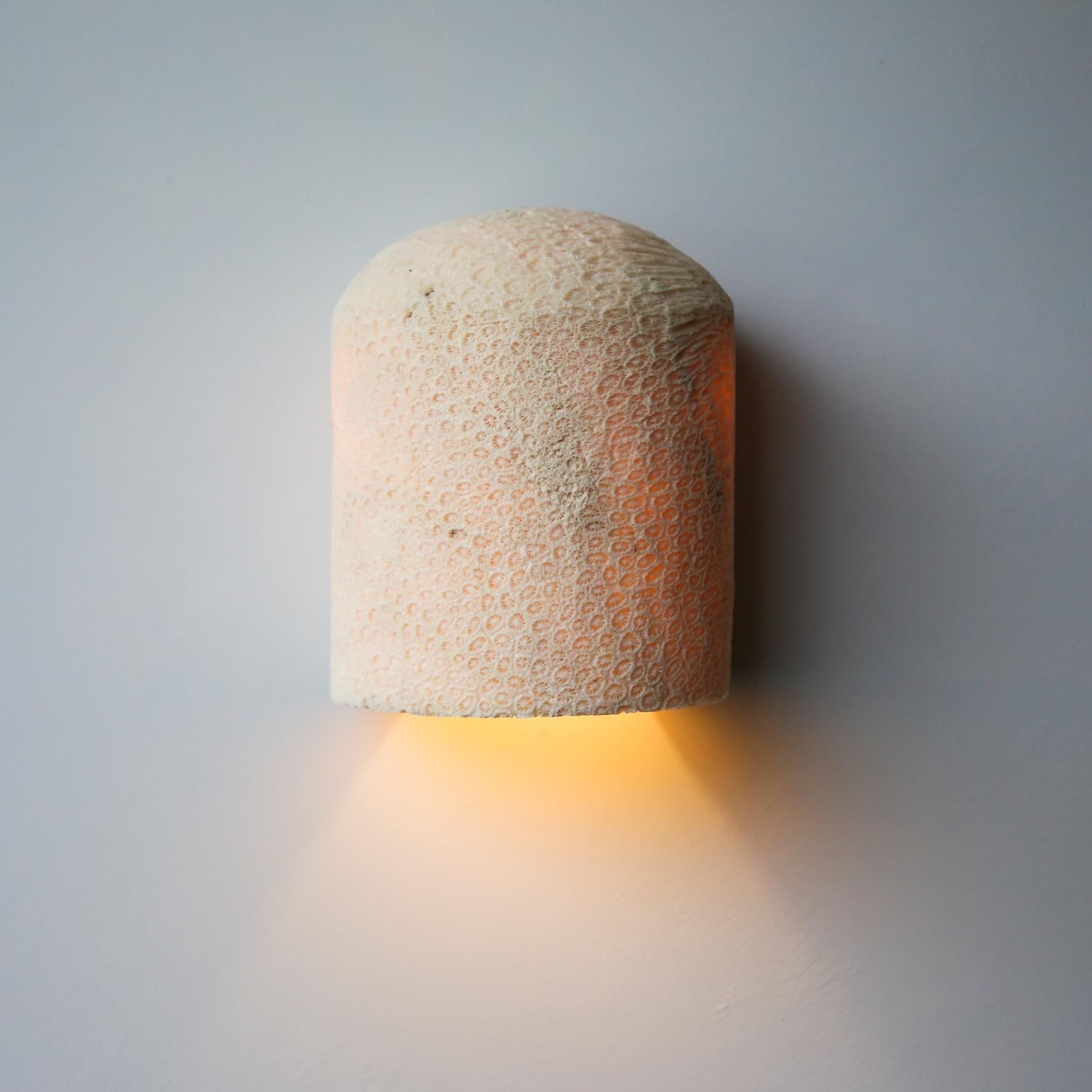 Lámpara de Pared Fósil Coral Dome Flush L by Marovo Island Traders en Nuevo estado para la venta en Geneve, CH