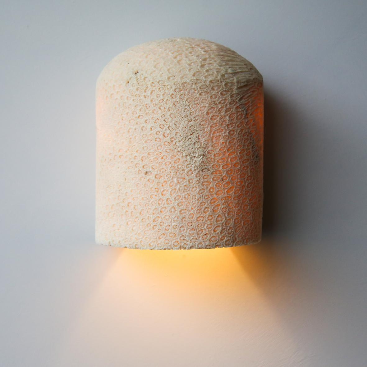 Fossil Coral Dome Flush Wall Sconce 'Large', Handcrafted & Ethically Sourced For Sale 2