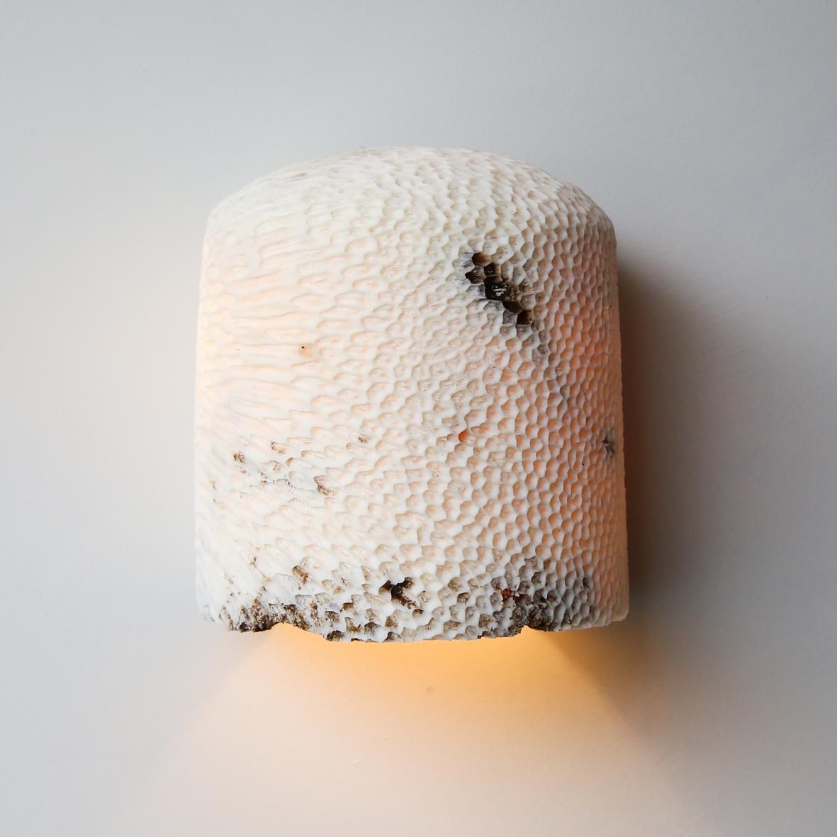 Hand-Carved Fossil Coral Dome Flush Wall Sconce 'Large', Handcrafted & Ethically Sourced For Sale