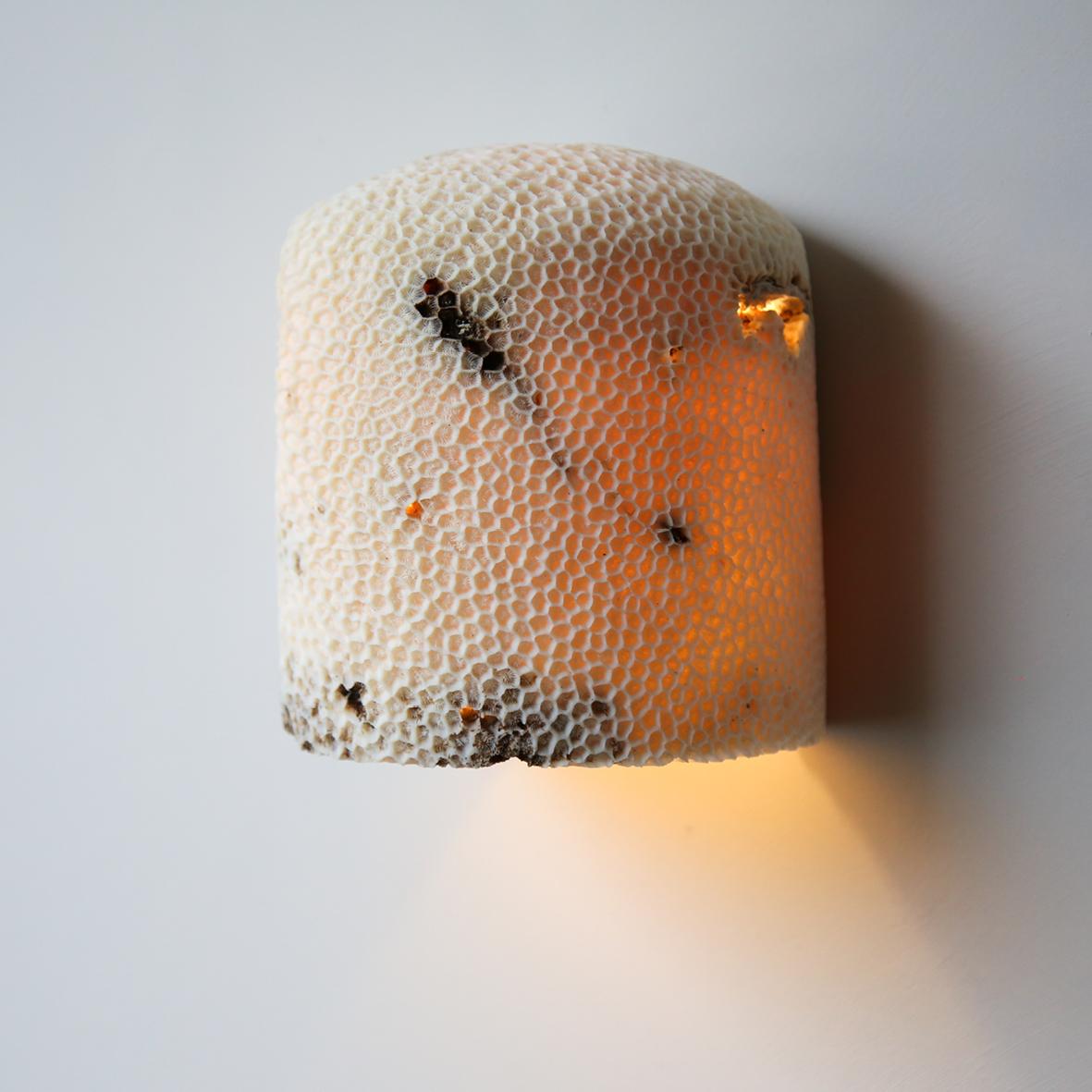 Contemporary Fossil Coral Dome Flush Wall Sconce 'Large', Handcrafted & Ethically Sourced For Sale