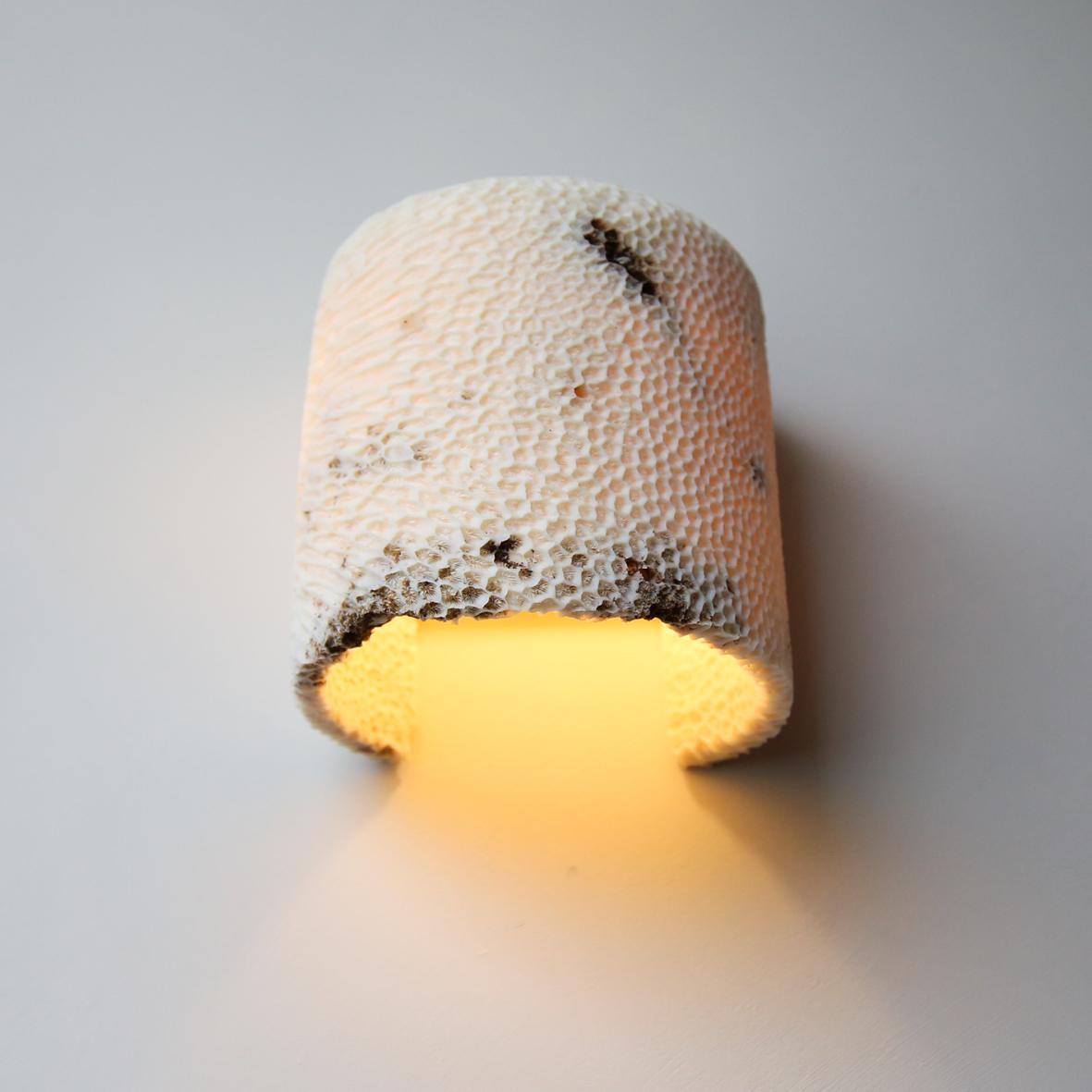 Fossil Coral Dome Flush Wall Sconce 'Large', Handcrafted & Ethically Sourced For Sale 1