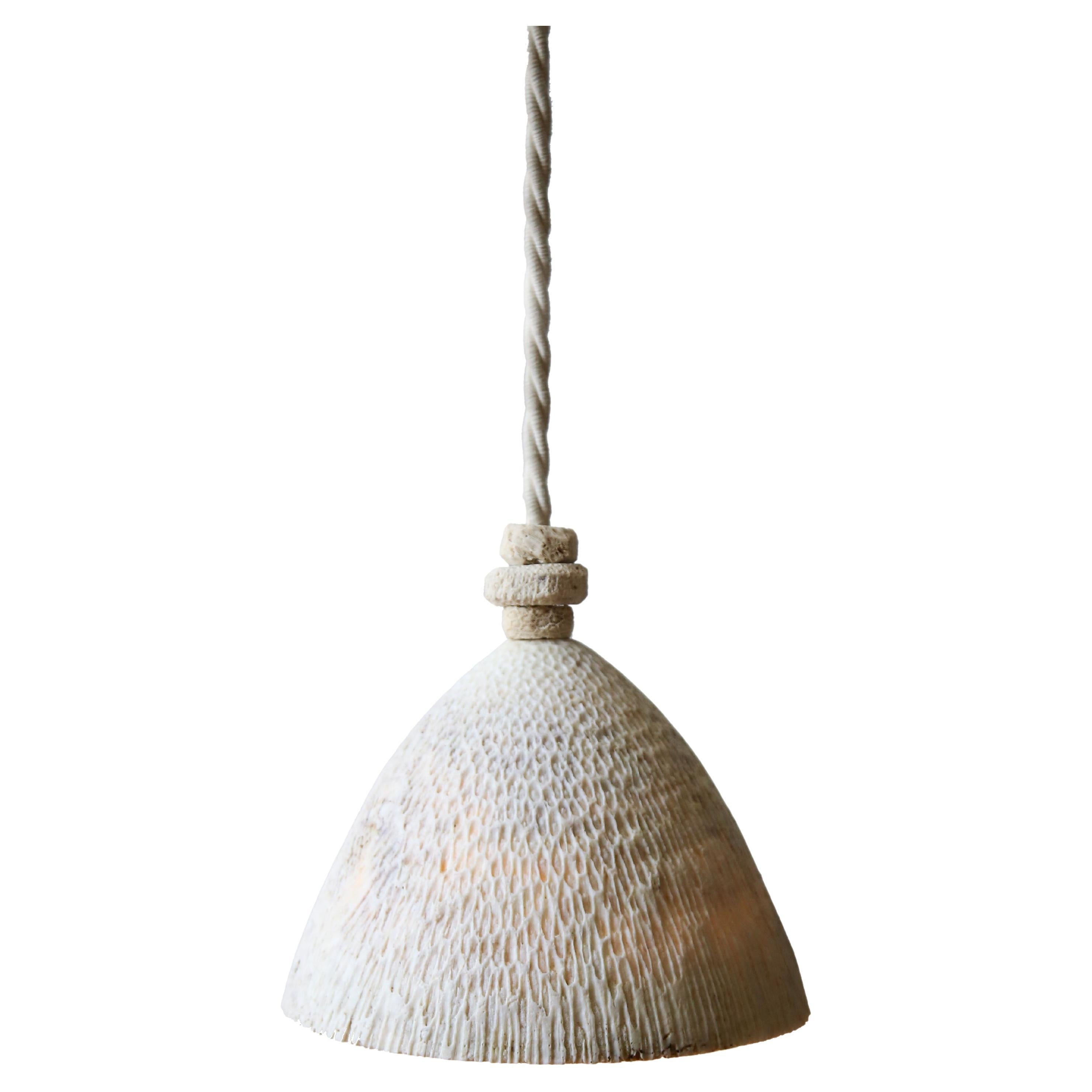 Die Fossil Coral Cone Hanging Pendelleuchte ist eine faszinierende Verschmelzung von Naturwundern und atemberaubender Handwerkskunst, die eine einzigartige ästhetische Wärme und einen ätherischen Glanz in Ihren Raum bringt. Diese kostbaren