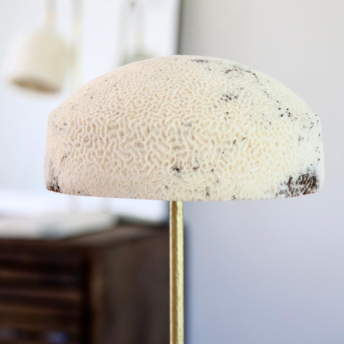 Prehistoric Fossil Coral Lamp - Dome - Hand-Crafted Ethical Chic Relic For Sale