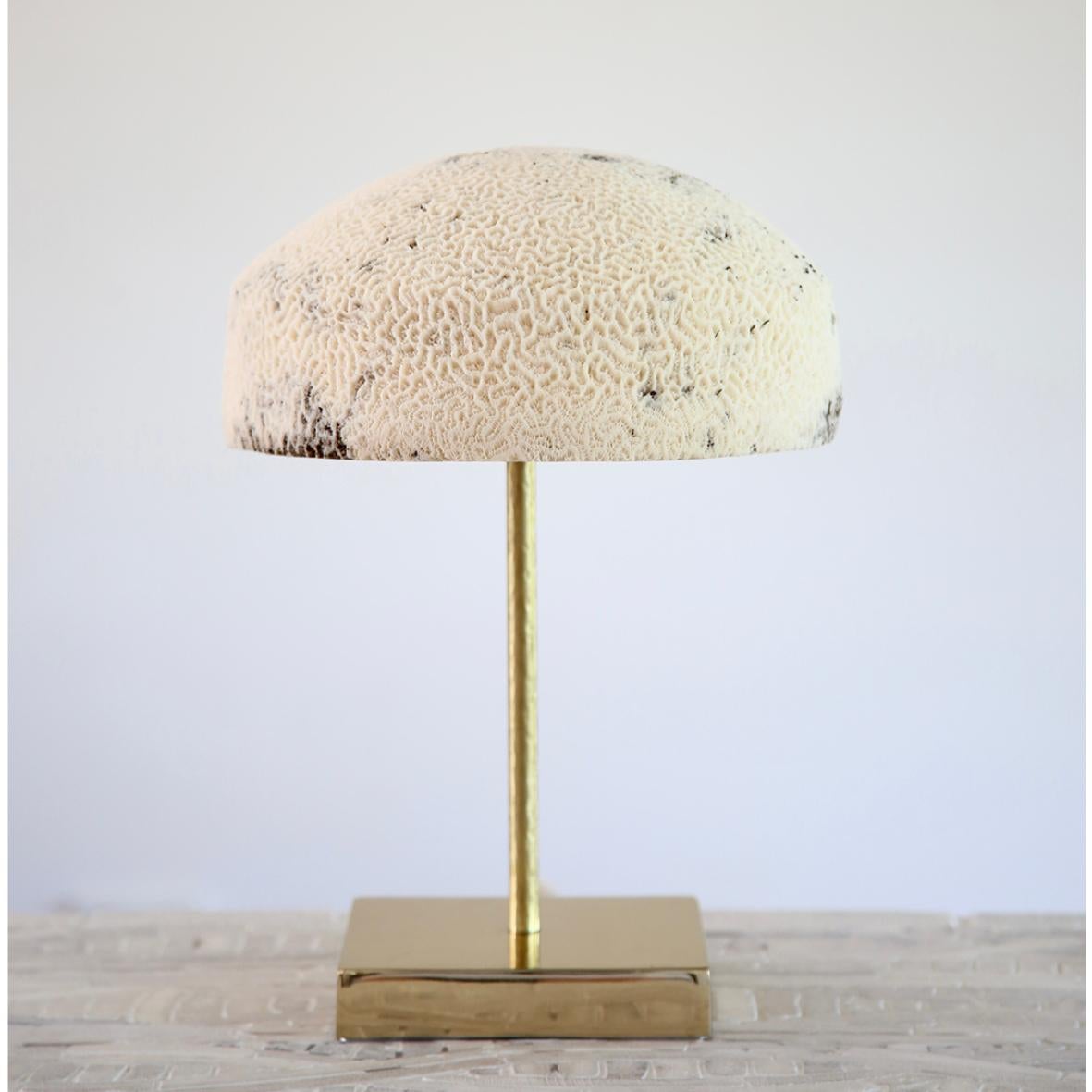 Fossil Coral Lamp - Dome - Handgefertigtes Ethical Chic Relikt (Salomon-Inseln) im Angebot