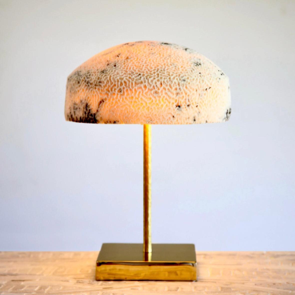 Hand-Carved Fossil Coral Lamp - Dome - Hand-Crafted Ethical Chic Relic For Sale