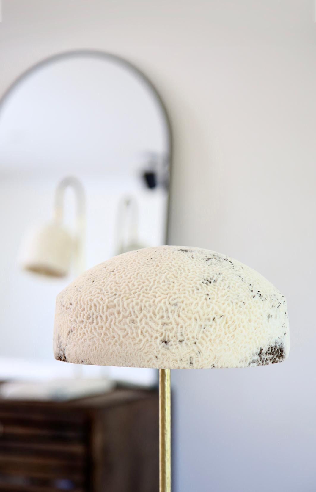 Fossil Coral Lamp - Dome - Hand-Crafted Ethical Chic Relic In New Condition For Sale In Newrybar, NSW
