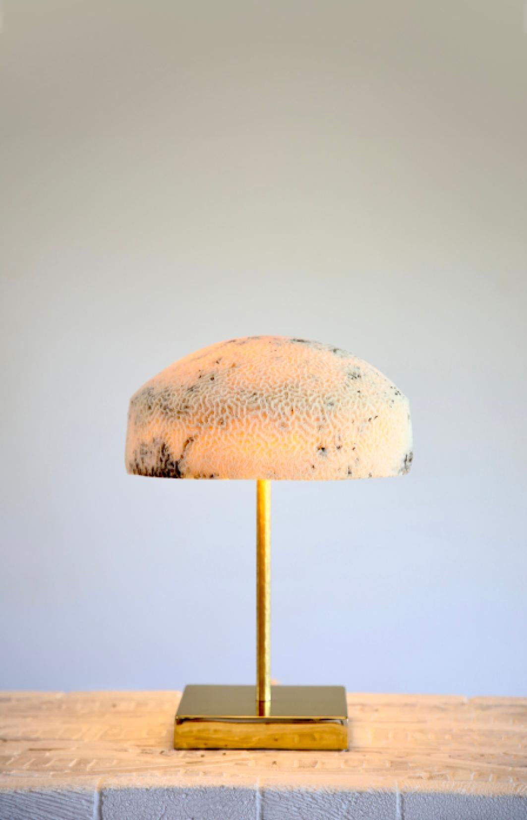 Contemporary Fossil Coral Lamp - Dome - Hand-Crafted Ethical Chic Relic For Sale