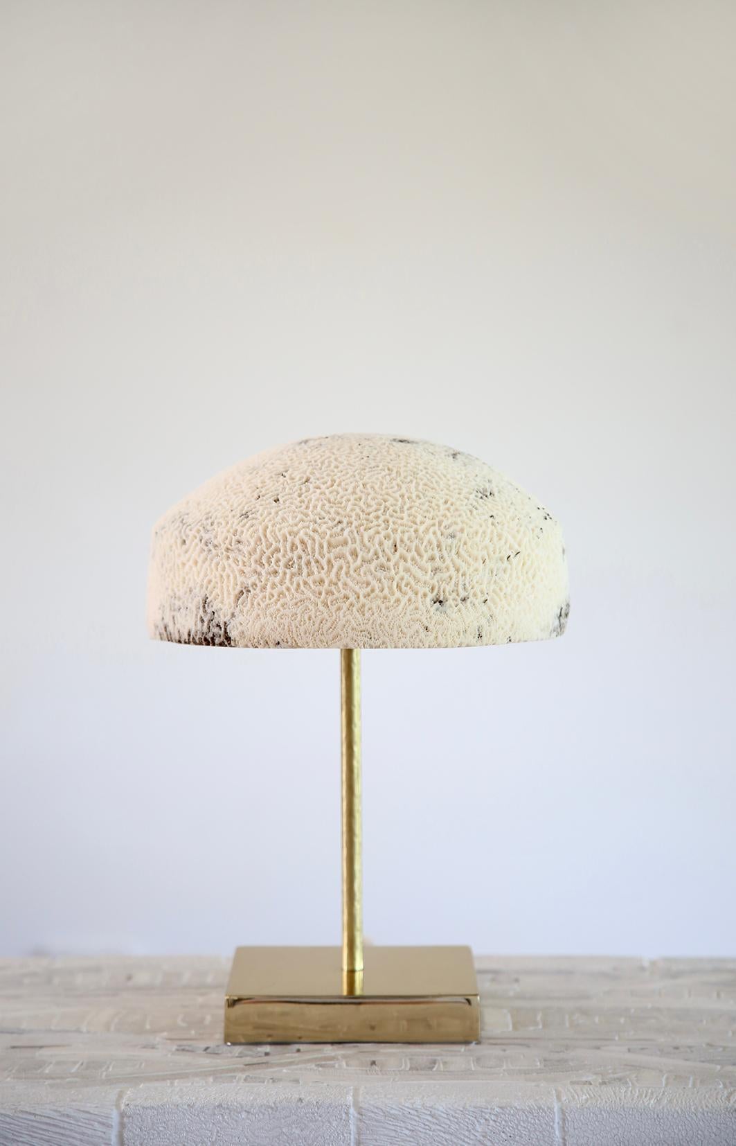 Brass Fossil Coral Lamp - Dome - Hand-Crafted Ethical Chic Relic For Sale