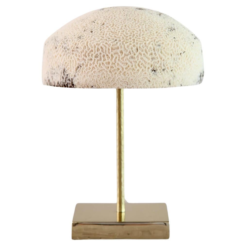 Lampe corail fossile - Dome - relique éthique chic faite à la main