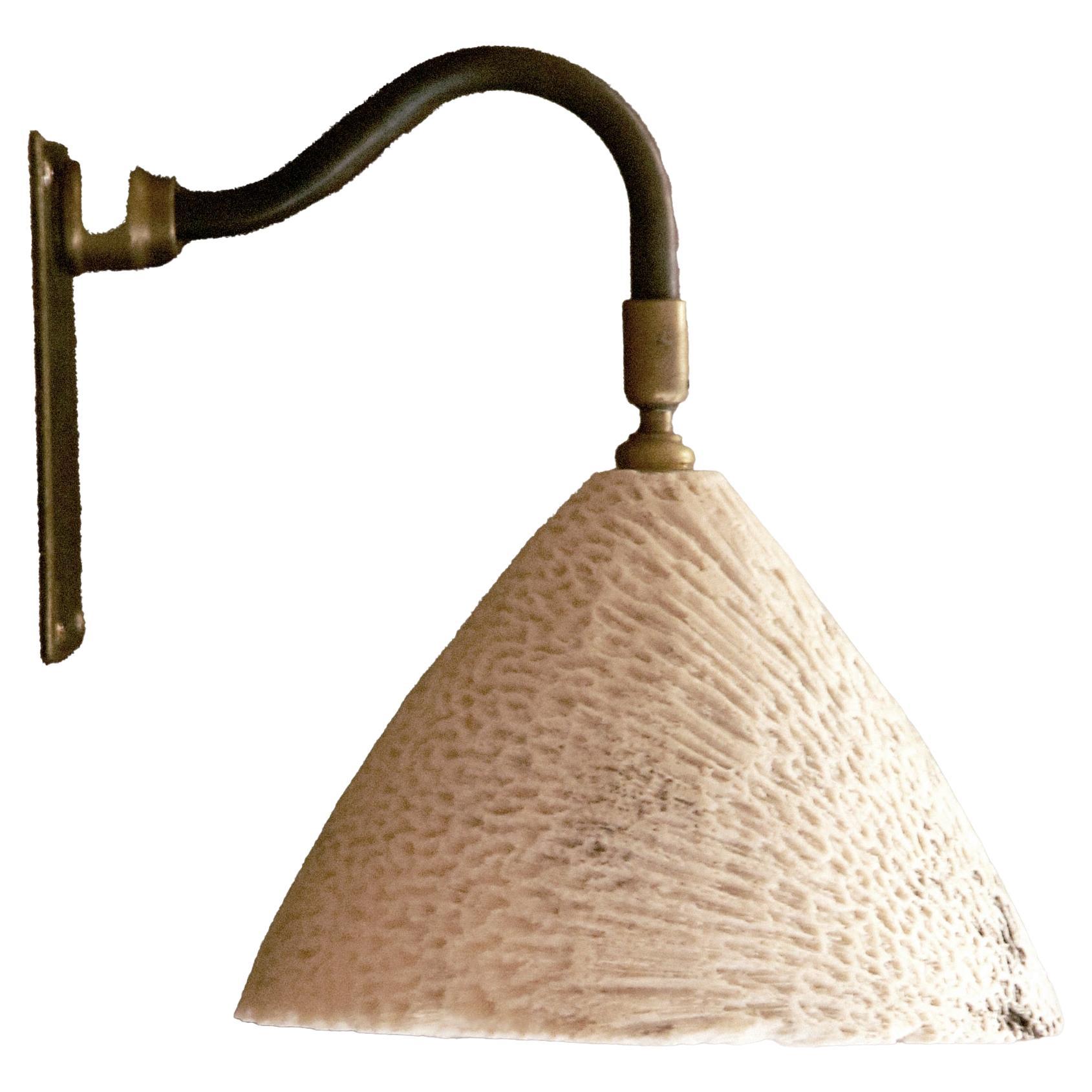 Fossil Coral Swan Wall Light - Cone (M) - Hand-Crafted, Ethical, Chic, Relic  For Sale