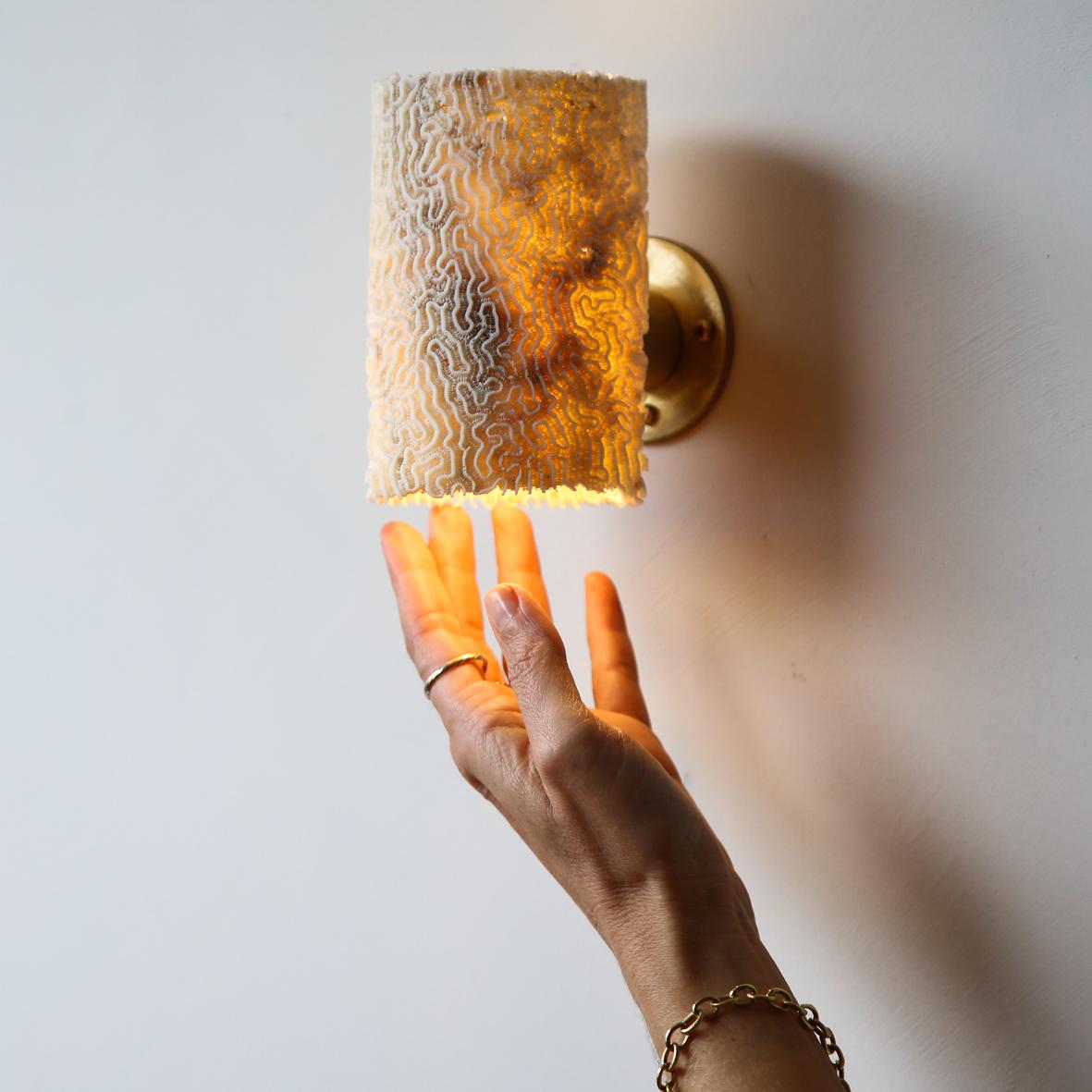 This Fossil Coral Brain Dome Wall Sconce (Medium) is a captivating fusion of nature's wonders and stunning craftsmanship, destined to bring a unique aesthetic warmth and etherial glow to your space. Ethically sourced and delicately handcrafted by