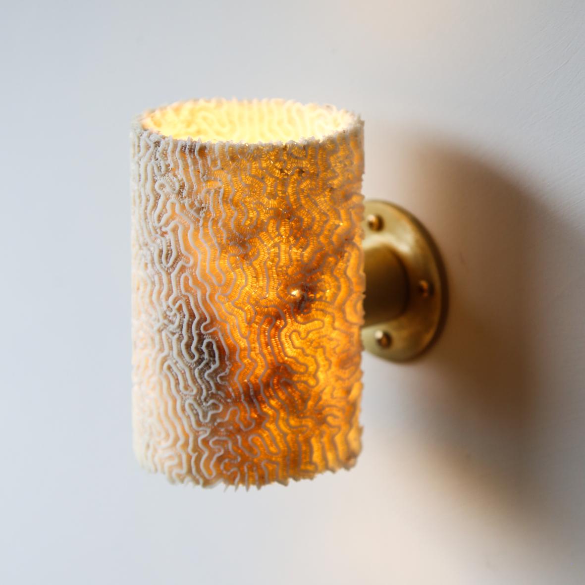 coral sconce