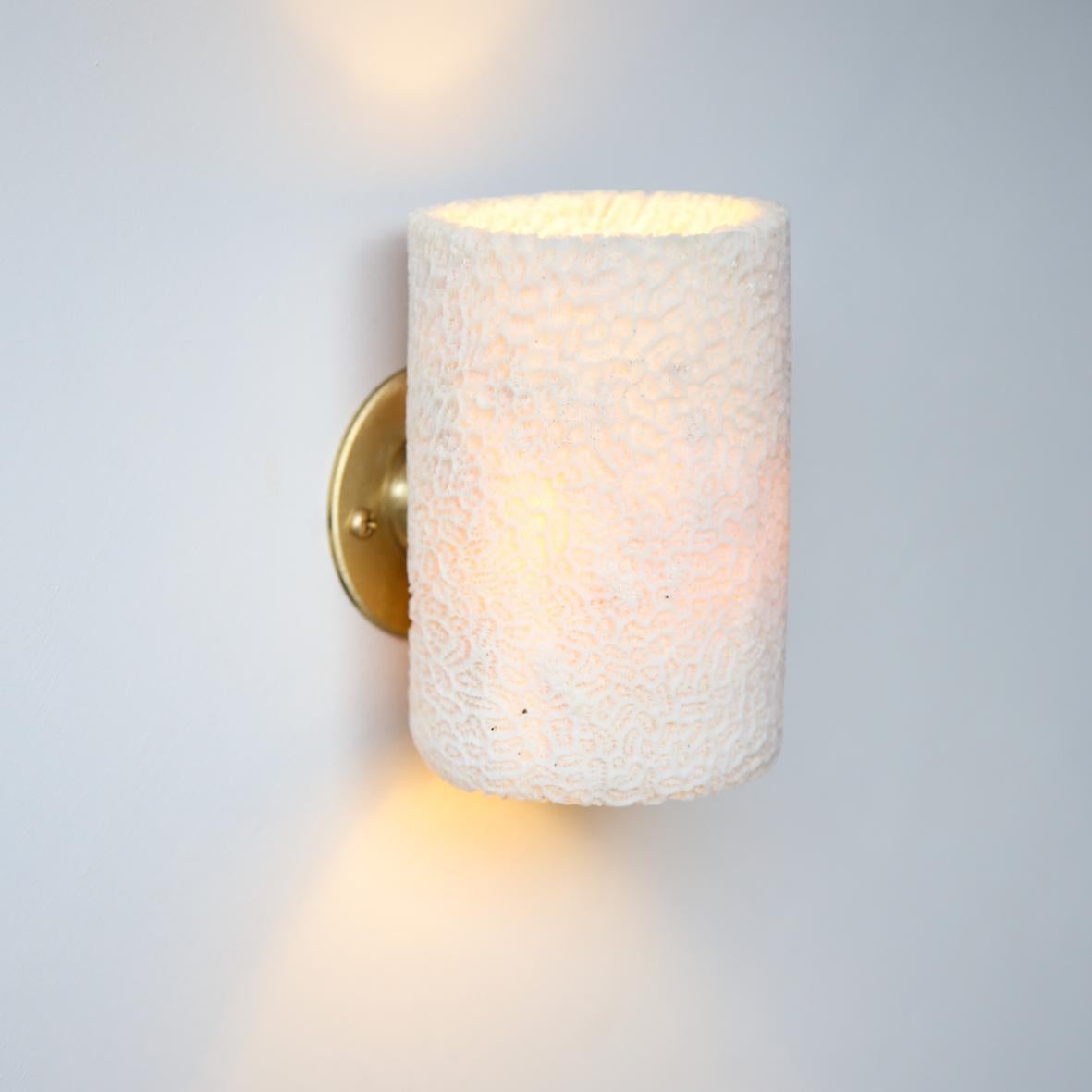 Sculpté à la main Applique murale tube en corail fossile (medium), fabriquée à la main et provenant de sources éthiques en vente