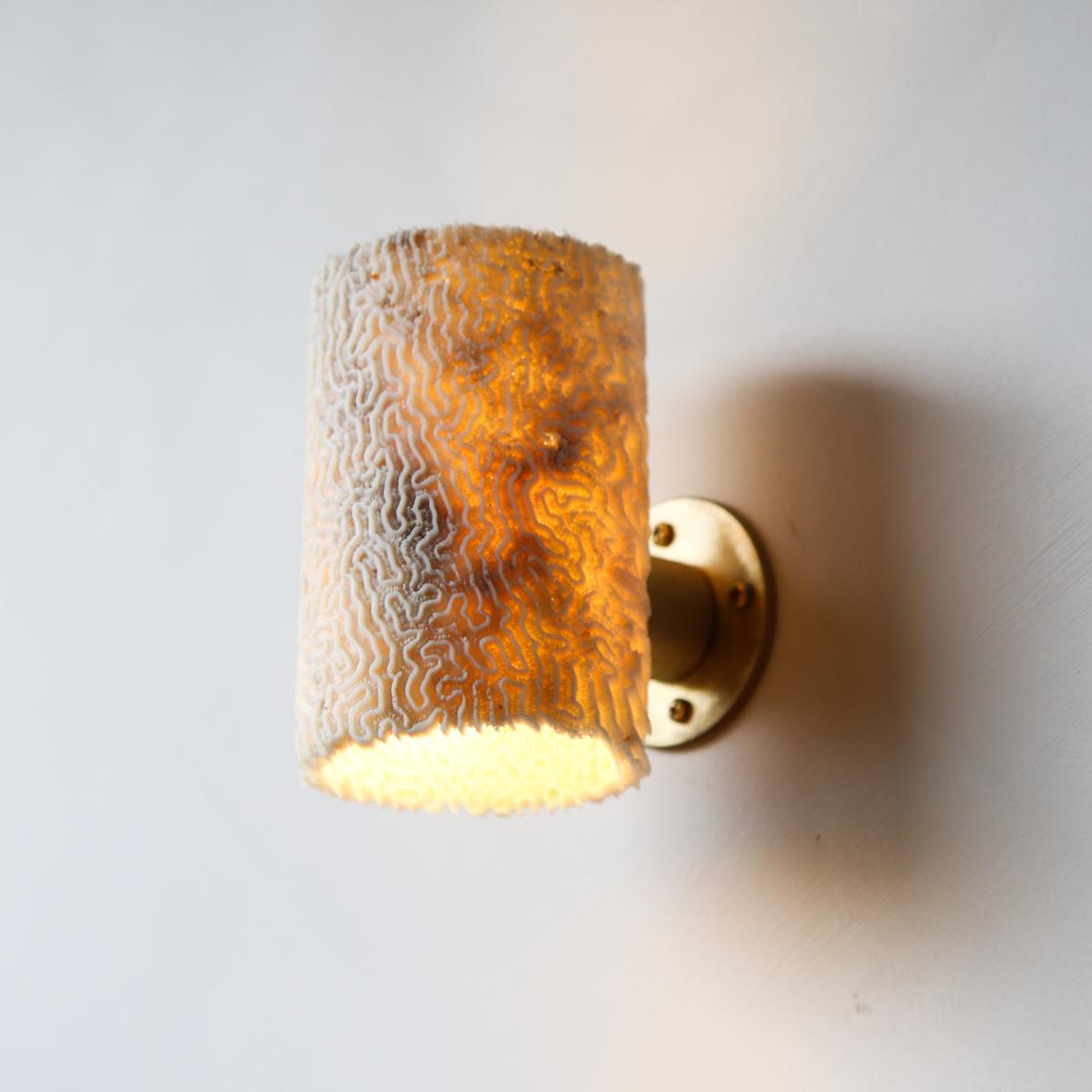 Hand-Carved Fossil Coral Tube Wall Sconce (Medium), Hand Crafted and Ethically Sourced  For Sale