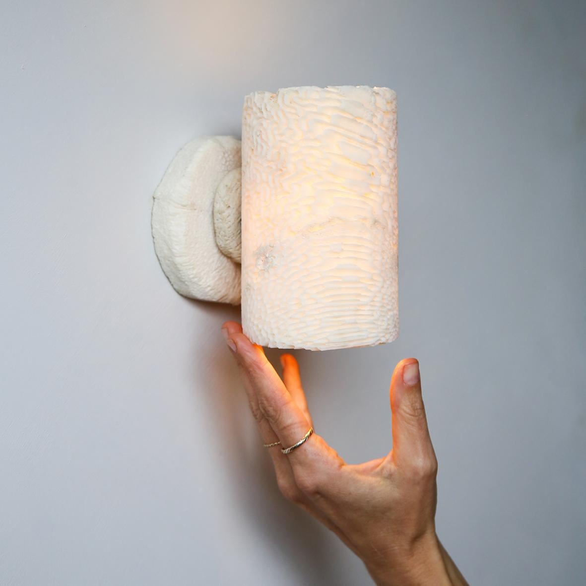 Fossil Coral Tube Wall Sconce (Medium), Hand Crafted and Ethically Sourced  In New Condition For Sale In Newrybar, NSW