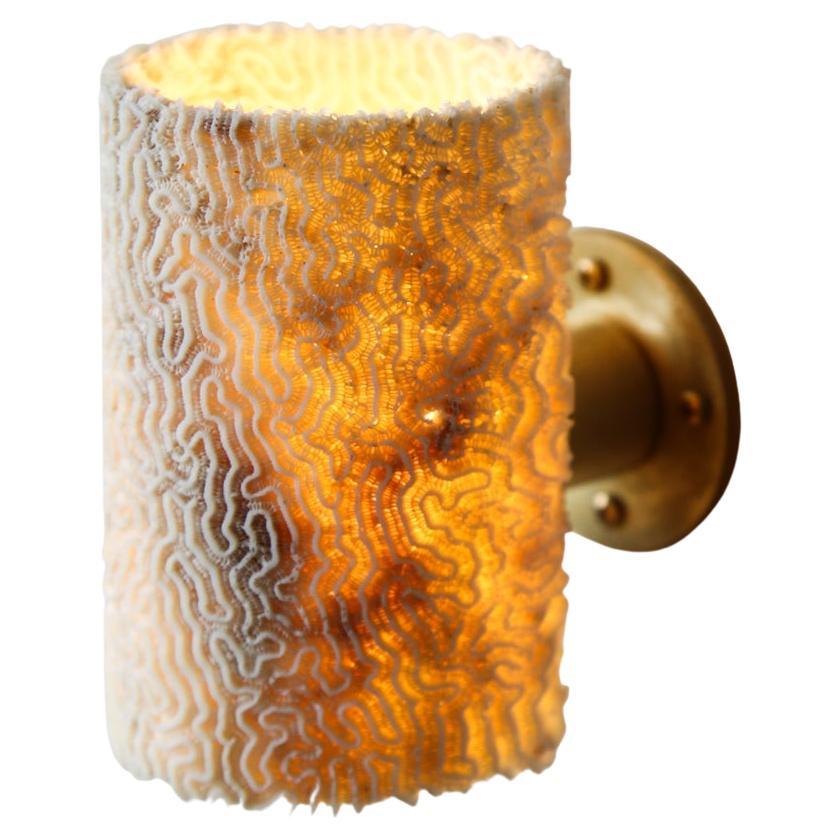 Fossil Coral Tube Wall Sconce (Medium), Hand Crafted and Ethically Sourced  For Sale