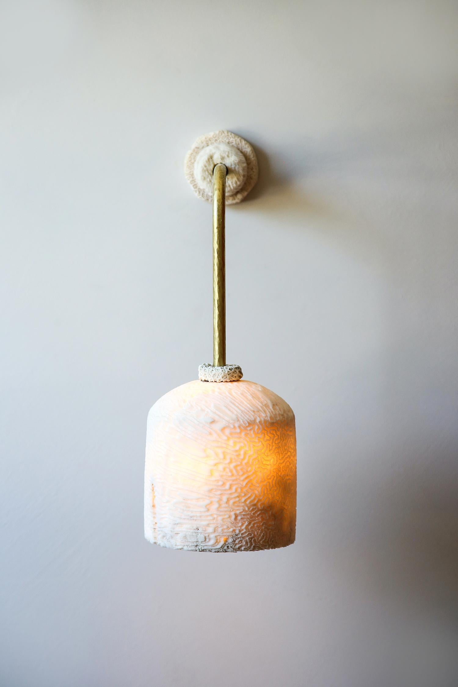 Prehistoric Fossil Coral Wall Light - Dome (L) - Hand-Crafted, Ethical, Chic, Relic  For Sale