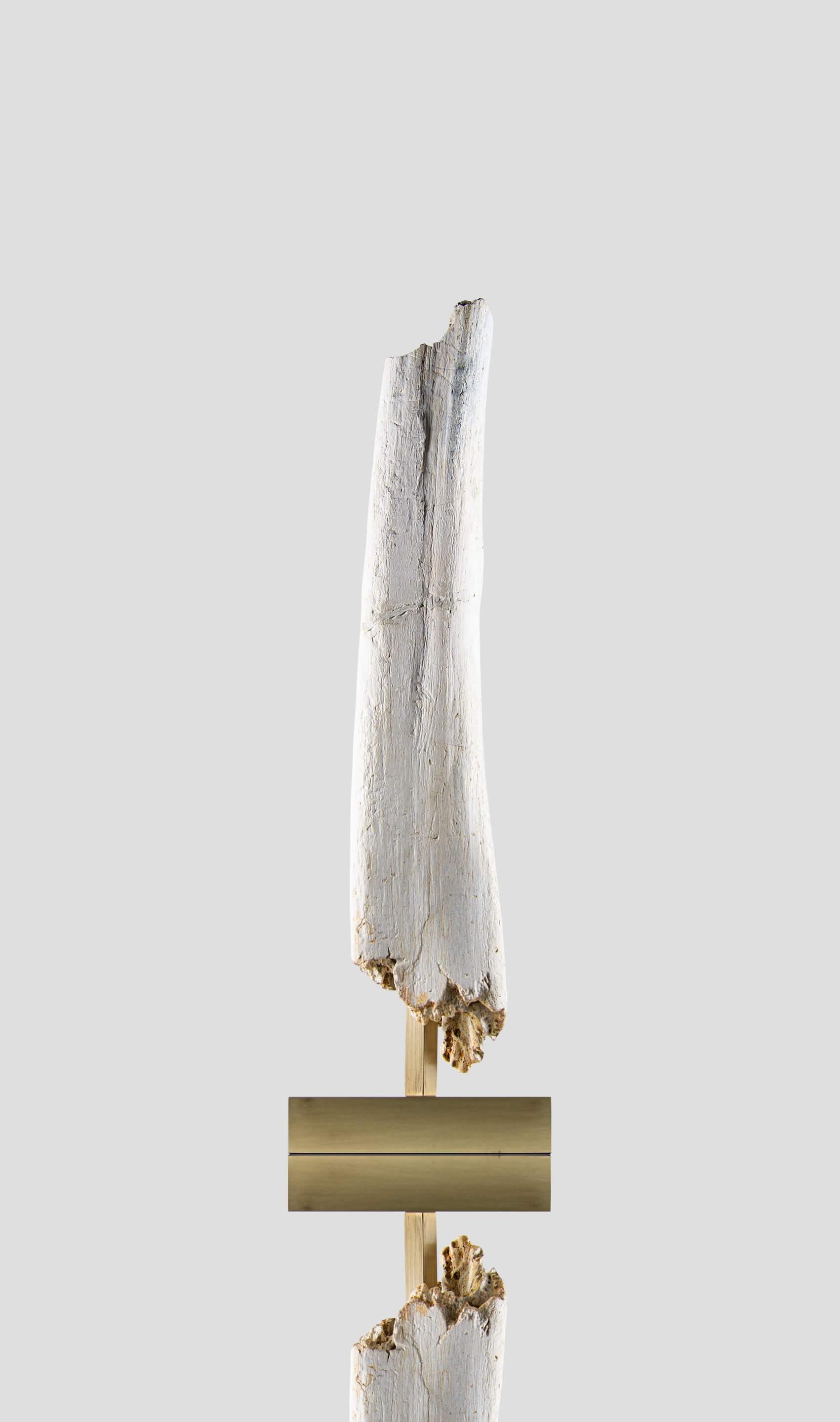 Prehistoric Fossil Dinosaur White 'blanc' Bone of Spinosaurus