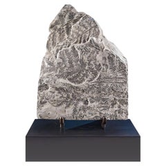 Fougère fossile (Pecopteris faeminaeformis) sur socle en noyer personnalisé