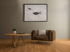 Fossil Fish Pair in Custom Walnut Frame, Green River Formation, Eocene