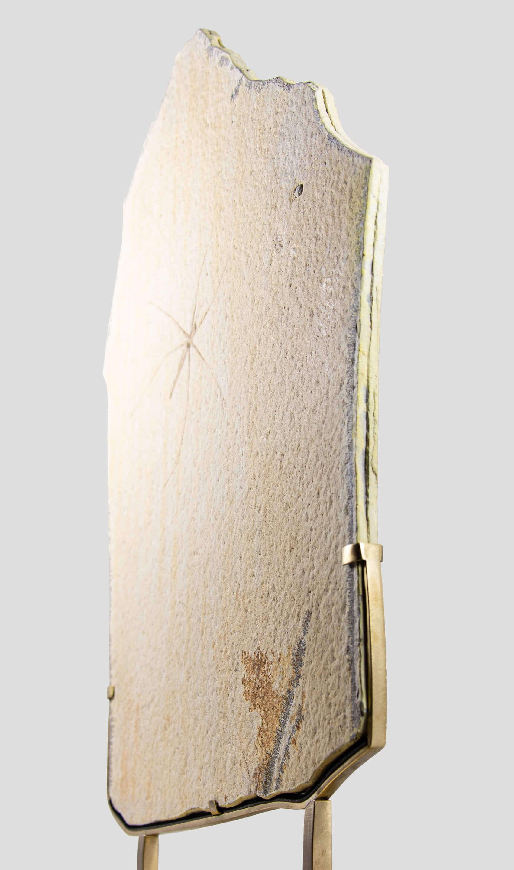 Fossil Gerridae Wasserstreifen- und geätzte Messinghalterung (Prähistorisch) im Angebot