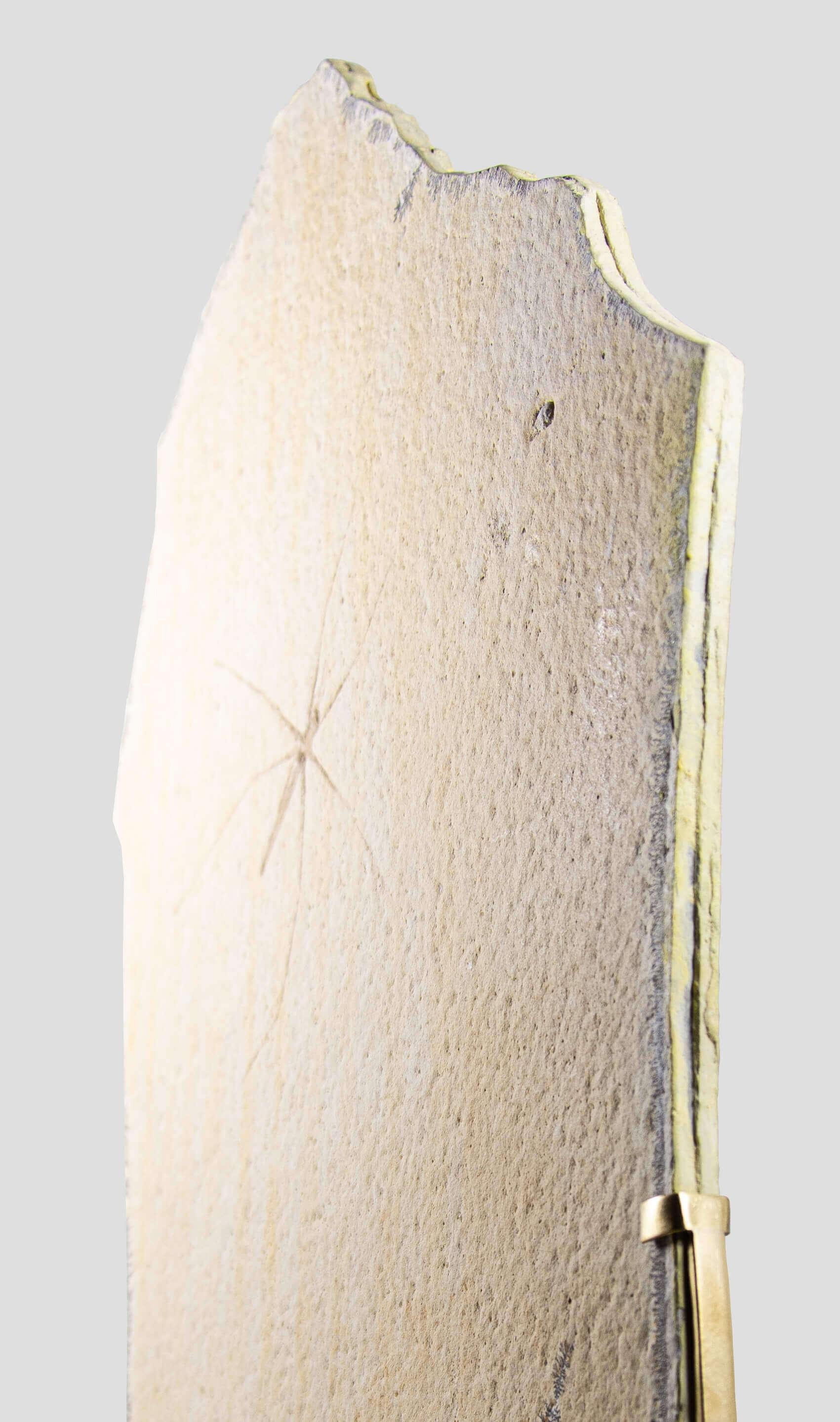 Fossil Gerridae Wasserstreifen- und geätzte Messinghalterung (18. Jahrhundert und früher) im Angebot