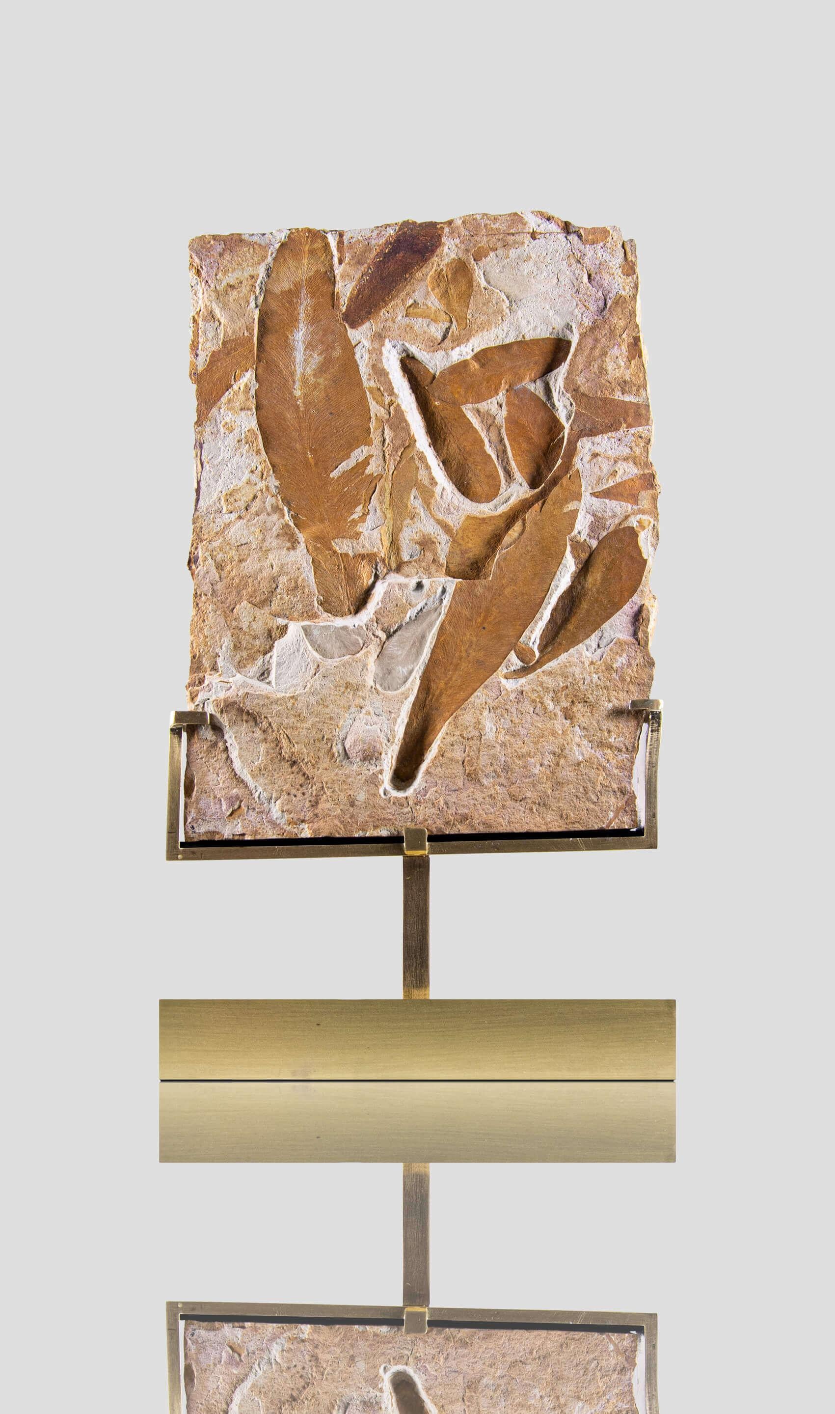 Preistorico Piatto in foglie di felce fossile Glossopteris e supporto in ottone inciso con sormonto in vendita