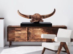 Fossiler eiszeitlicher Bisonschädel auf Nussbaumsockel, Pleistozän